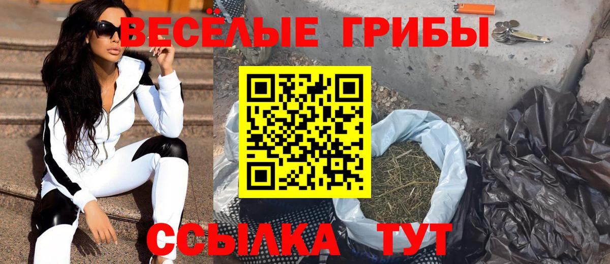 Барабинск  Псилоцибиновые грибы MAGIC MUSHROOMS  продажа наркотиков  Вход с VPN 