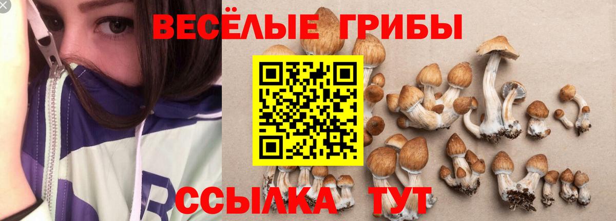 Галлюциногенные грибы Cubensis Барабинск