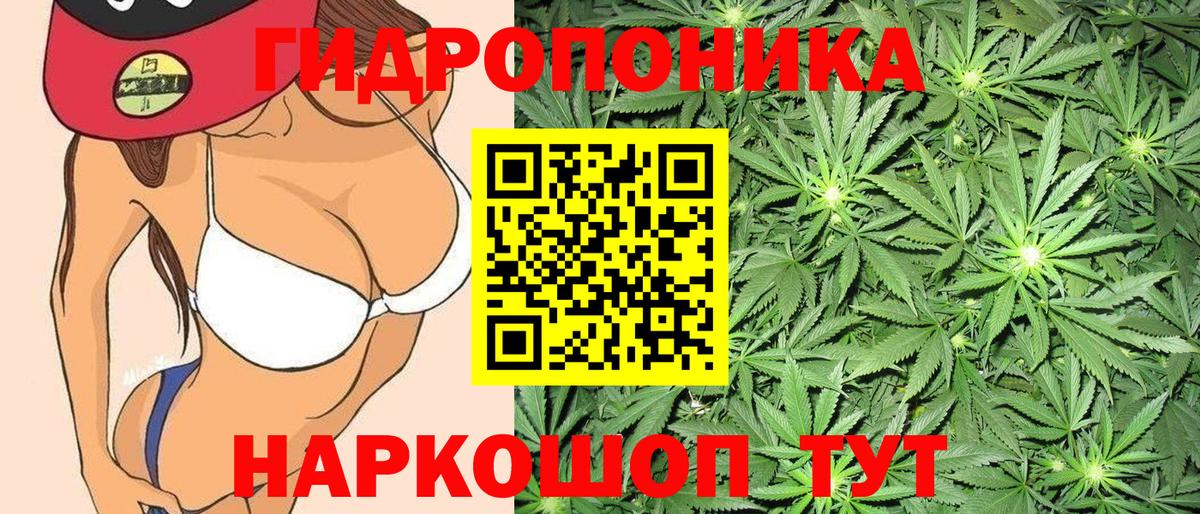 Каннабис план  Конопля сатива  Шишки марихуана SATIVA & INDICA  Марихуана конопля  Барабинск  Вход с VPN 